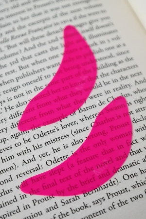 Силиконовые патчи MIA PRO LASHES, птичка, розовый